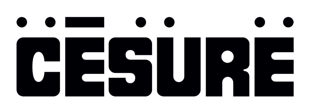 Logo d'une école partenaire du cas « CÉSURE - Césure au présent »